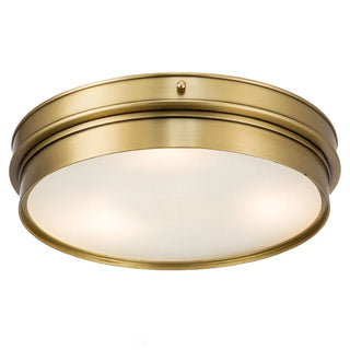 Celako™ Brassia Ceiling Light | Copper Living Room Lighting