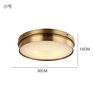 Celako™ Brassia Ceiling Light | Copper Living Room Lighting