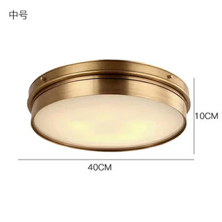 Celako™ Brassia Ceiling Light | Copper Living Room Lighting
