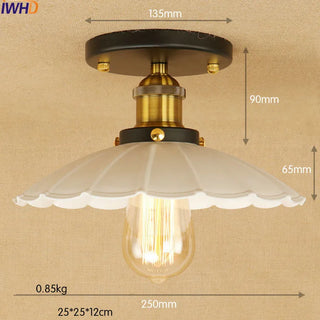 Copper Edison LED ceiling Light Fixtures Loft Style Industrial Vintage Ceiling Lamp Lights Plafonnier Luminaira Lampara Techo