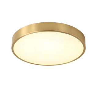Celako™ Vetrae Ceiling Light | Copper Hallway Lighting