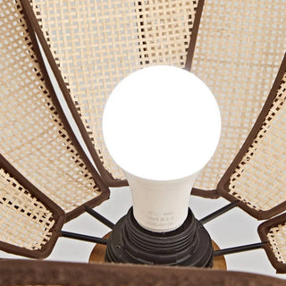 Celako™ Canori Ceiling Light | Rattan Living Room Lighting