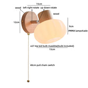 Pull Chain Switch 1