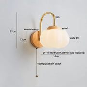Pull Chain Switch 1