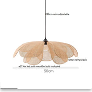 50cm 1