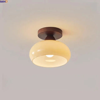 Celako™ Opalo Ceiling Light | Glass Wabi Sabi Style