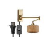 US Plug In
