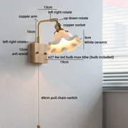 Pull Chain Switch 1