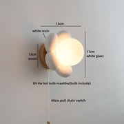 Pull Chain Switch 1