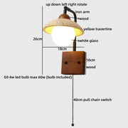 Pull Chain Switch 4