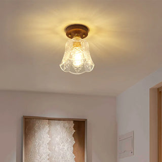 Celako™ Vetrius Ceiling Light | Printed Glass Modern Lighting
