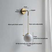 Pull Chain Switch 2
