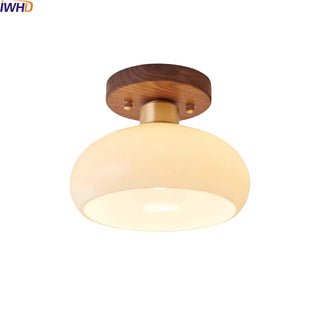Celako™ Nucora Ceiling Light | Glass Dining Room Lighting