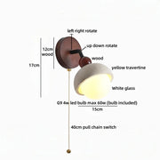 Pull Chain Switch 2