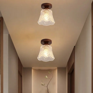 Celako™ Diaphra Ceiling Light | Clear Glass Vintage Kitchen Island Lighting