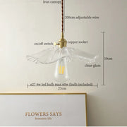 Clear Glass 11
