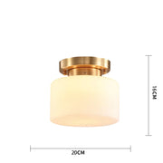 Copper 6