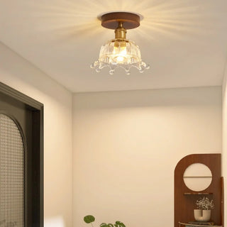 Celako™ Vitreum Ceiling Light | Clear Glass Vintage