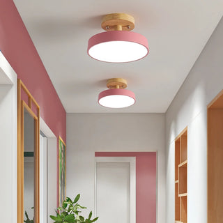 Celako™ Arcalo Ceiling Light | Acrylic Iron Nordic Living Room Lighting