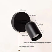 Pull Chain Switch 1
