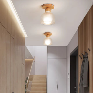 Celako™ Klaris Ceiling Light | Glass Modern Style